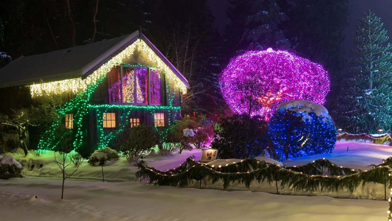 Casa con el tejado perfilado de luces LED y arbustos envueltos en luces de colores
