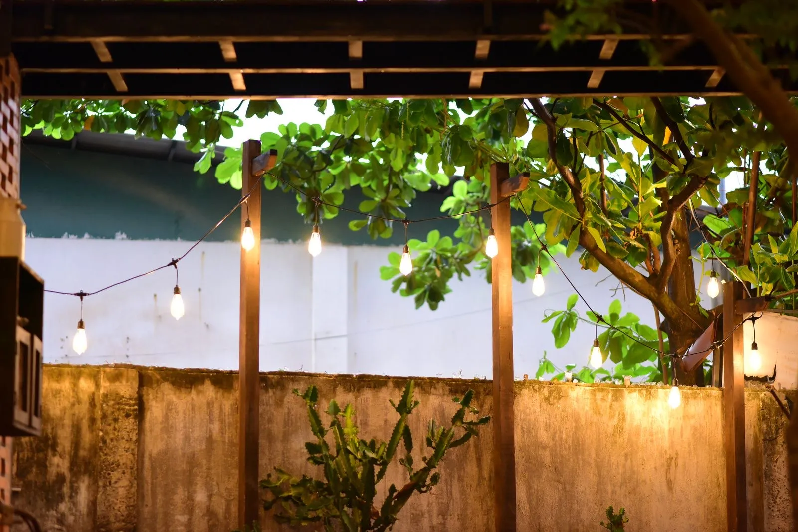 Pérgola de madera en el jardín con una guirnalda de bombillas cálidas